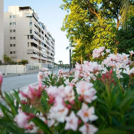 Albandro Elche