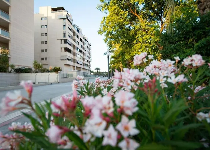 Albandro Elche